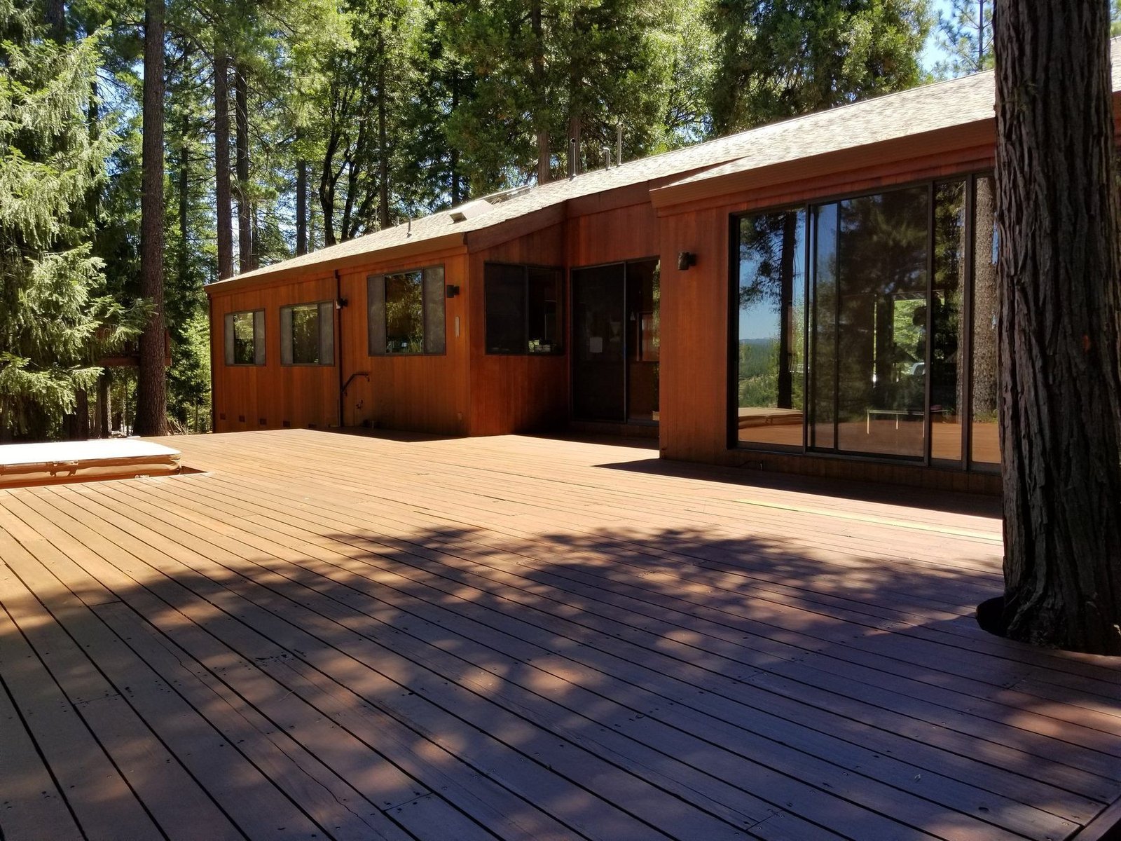 A wood deck freshly stained, boards restored to an even warm tone