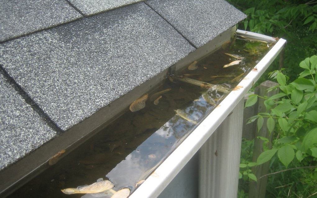 Gutter Cleaning