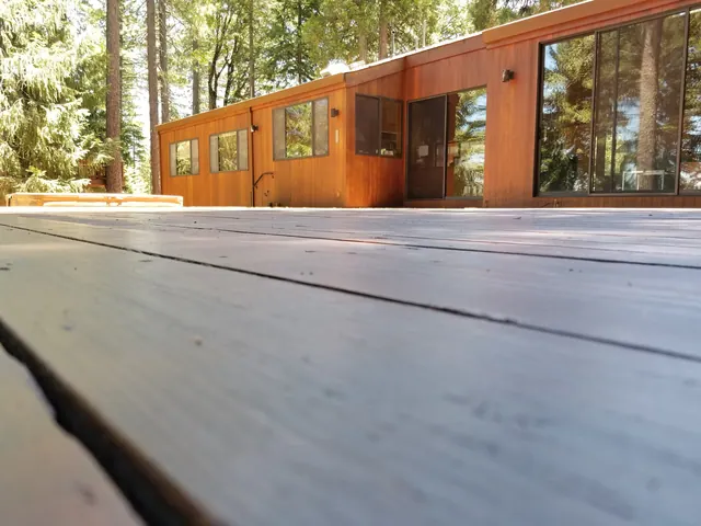 Decks by Michael Hines Painting