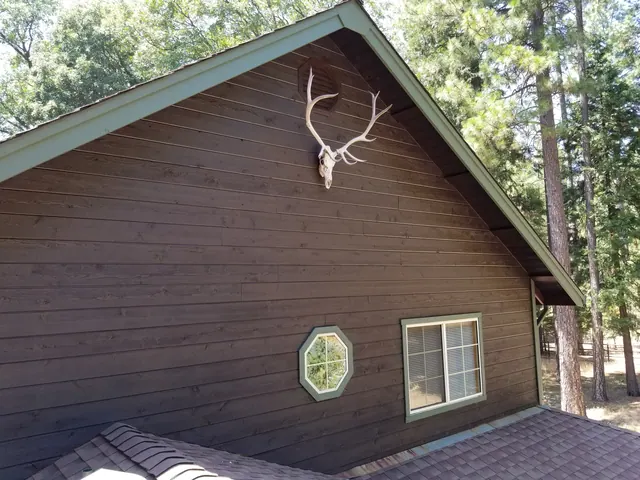 Log Homes & Staining by Michael Hines Painting
